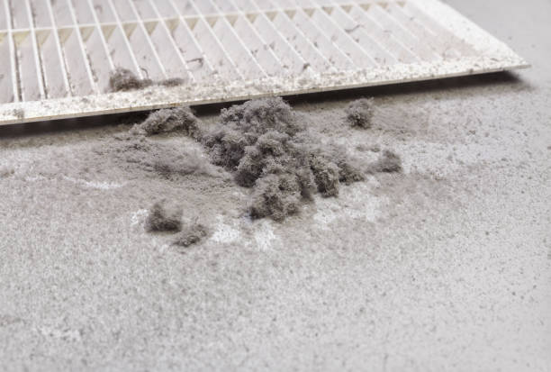 Best Affordable Duct Cleaning Services  in North Liberty, IA