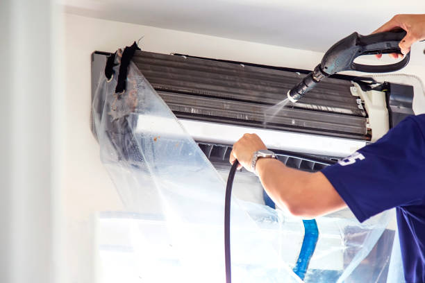 Best Air Duct Mold Removal  in North Liberty, IA