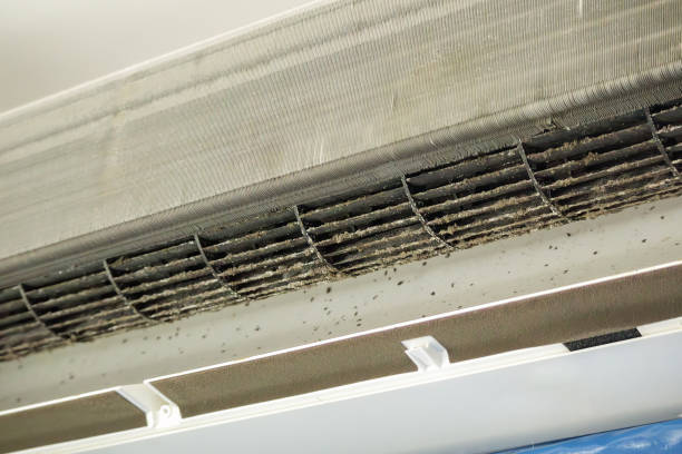 Best Air Duct Cleaning Near Me  in North Liberty, IA